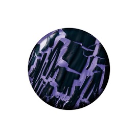 Sally Hansen Insta-Dri x Stranger Things Nail Polish, Nether, 0.31oz