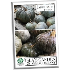 Jarrahdale Pumpkin Seeds for Planting, Pale Green Color, (Jarradale), 20 Heirloom Seeds, (Isla's Garden Seeds), Non GMO Seeds, Botanical Name: Cucurbita Maxima, Great Home Garden Gift