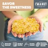 Premium Dried Pineapple Chunks 48oz | Non-GMO, Batch Tested Gluten