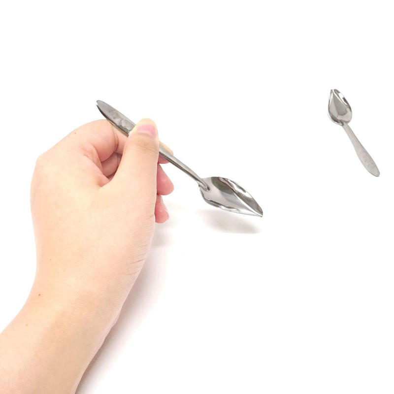 HONBAY 4PCS Stainless Steel Bird Feeder Spoons Parrot Feeding Scoops