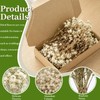 LAILAILE 100pcs Natural Dried Gypsophila Flowers– White Baby's Breath