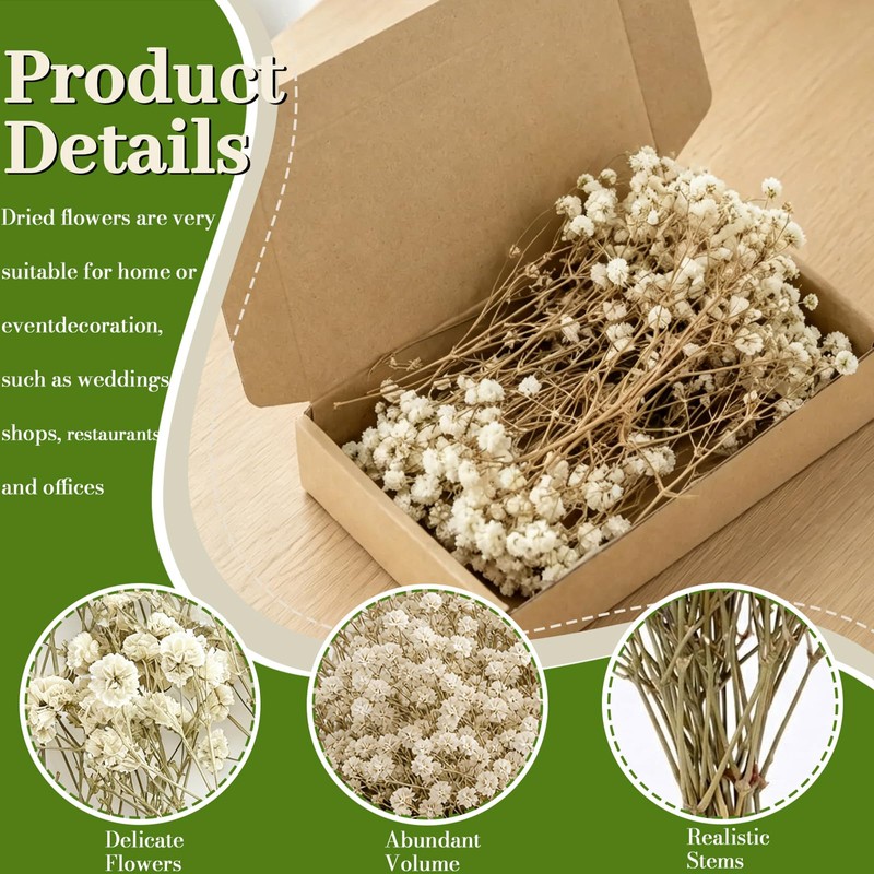 LAILAILE 100pcs Natural Dried Gypsophila Flowers– White Baby's Breath
