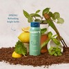Harry's Body Wash Shower Gel for Men - Spring Scent