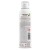 Bilboa Coccobello Olio Solare SPF 15, con Olio di Cocco,