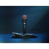 SE Electronics V2-SW-QTR Supercardioid Dynamic Handheld Microphone with On/Off Switch