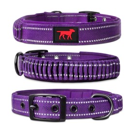 Heavy Duty Dog Collar with Handle | Ballistic Nylon Heavy Duty Collar | Padded Reflective Dog Collar with Adjustable Stainless Steel Hardware | Convenient Sizing for All Breeds X-Large (19-23" Neck)