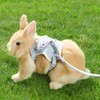 CVDYWDJIE 4-Piece Rabbit Harness, Adjustable Pet Leash, Cute Vest, Rabbit