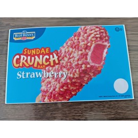 Blue Bunny 2011 Blue Bunny Sundae Church Strawberry Bar Novelty Ice Cream Truck Decal 8"x5"