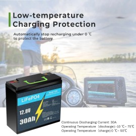 Litime 12V 30Ah LiFePO4 Lithium Battery 30A BMS Deep Cycles for Solar RV Scooter Marine