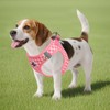Breathable Mesh Dog Harness and Leash Set,Reflective No Pull Step