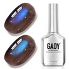 Brown Blue Cat Eye Gel Nail Polish, UV Gel, 4310,