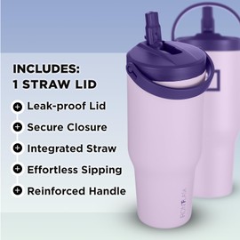 IRON °FLASK Sidekick Insulated Water Tumbler w/Straw & Foldable Handle -Stainless Steel Leak-Proof Bottle, Non-Slip Base, Fits Cup Holders for Hot, Cold Drinks -Travel Mug -30 Oz, Lavender Bliss