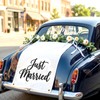 Just Married Wedding Backdrop Set with Just Married Sign, Eucalyptus