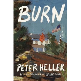 Burn: A novel