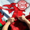 Anley Rip-Proof Double Sided 3-Ply Wales Flag 3x5 Ft Welsh