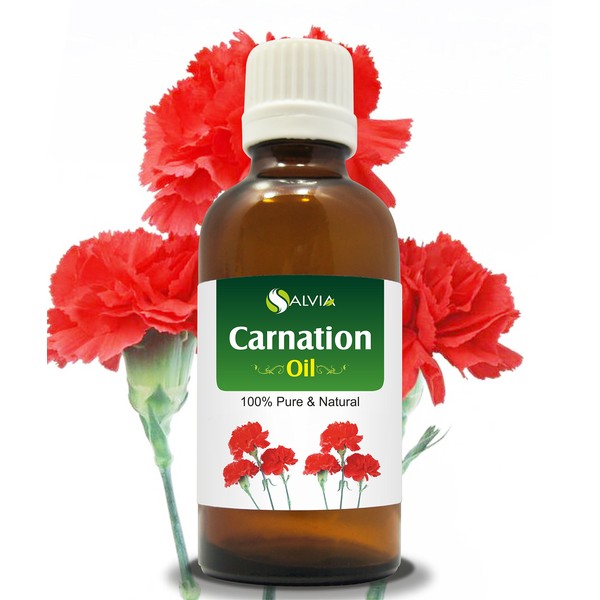 Carnation (Dianthus caryophyllus) Therapeutic Essential Oil by Salvia Amber Bottle 100% Natural Uncut Undiluted Pure Cold Pressed Aromatherapy Premium Oil - 15ML/ 0.5 fl oz
