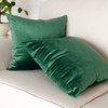 Artcest Set of 2, Cozy Solid Velvet Throw Pillow Case,