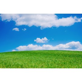 SADFA 7x5ft Natural Backdrops Green Grassland Photograph Backdrop White Clouds and Blue Sky Backgrounds for Photo Booth Screen Backdrop