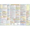 FAA Private Pilot Oral Exam Study Guide Poster (2-Sided, 27x19
