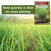 Sow Right Seeds Sow Right Seeds - Lemon Grass Seed