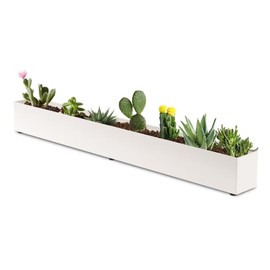 GZGNEEVL Window Sill Planter Box Trough Rectangle Planter Long Window Planters Modern Galvanized Steel Succulent Planter White 32 in Metal Windowsill Pot for Indoor Plants Herb Table Home Outdoor