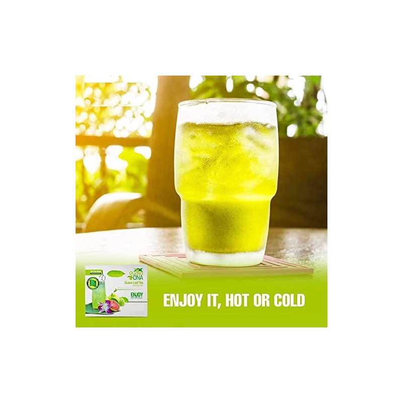 MATCHA DNA Guava Leaf Tea - 120 Individually Wrapped Teabags