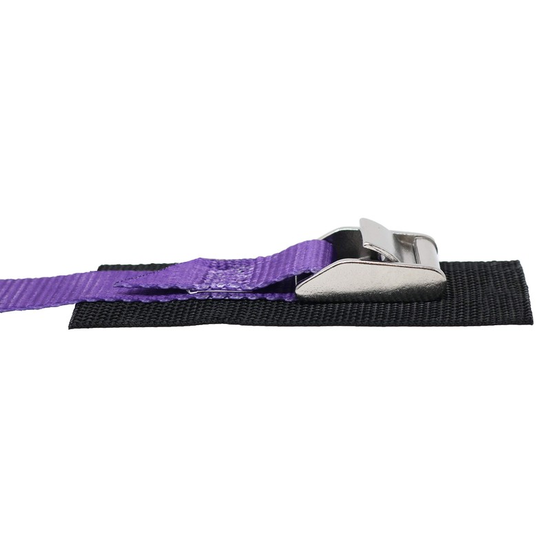 CustomTieDowns 1 Inch x 10 Foot Cinch Strap Tie Down,