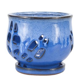 W&W Orchid Pot with Holes and Saucer for Repotting and Better Grow, White and Blue, 6.5 Inches