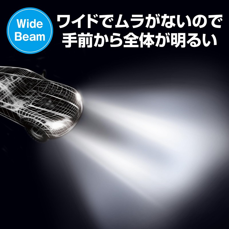 PIAA / Head & Fog LED Bulb Model Number: LEH221