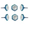 Perilla Home Set of 6 Ceramic Knobs for Cabinet &