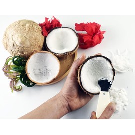 Round Edge Cut Coconut Grater - Durable Sharp Stainless Steel Blade Shredder & Multi-Purpose Rasp for Easy Use Efficient Shredding Tool (Plastic Handle)