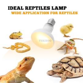 TEKIZOO Heat Lamp Bulbs Reptile Basking Light Spot Daylight for Bearded Dragon,Lizard,Tortoise,Amphibian 100W(2 Pack)