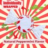 JD Bargain Outlets Starlight Peppermint Mints - 1 lb Bulk