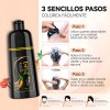 Kaisasa Shampoo Cubre Canas Tinte Instantaneo Para Canasshampoo cubre canasshampoo