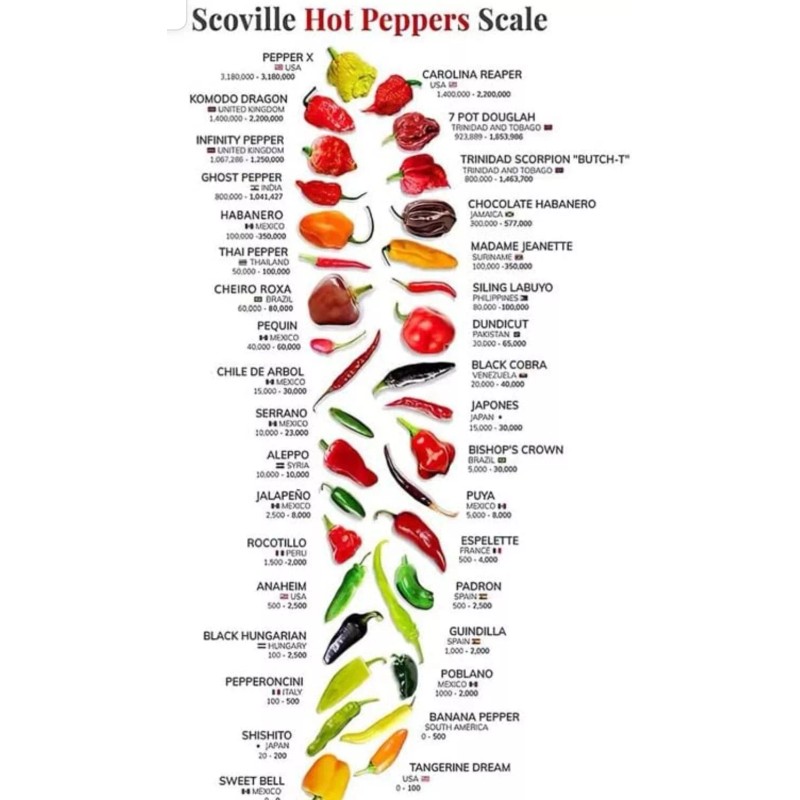 HELLFIRE HOTTEST HOT SAUCE IN THE WORLD!