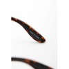 Coleman CTL09-2 Sunglasses