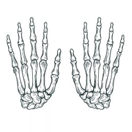 TattooIcon Skeleton Hands - Skeleton Bones Hands Temporary Tattoo / Coco Hands Tattoo