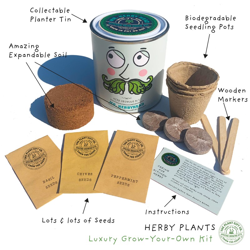 Herb Luxury Grow Kit, The Plant Gift Co. Mr Herbyhead
