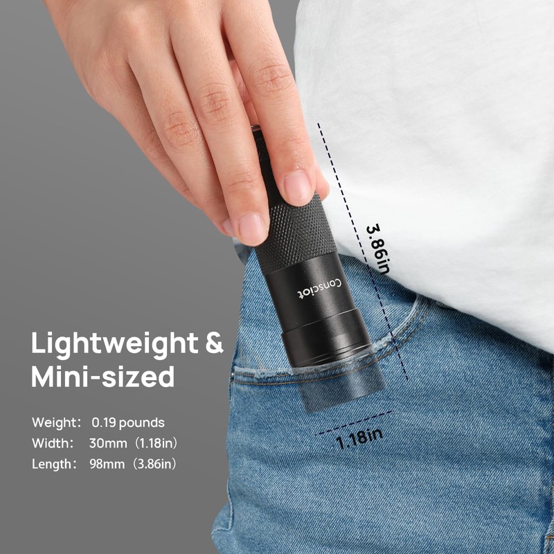 Consciot 2 Pack UV Flashlight Black Light, 12 LED 395nm