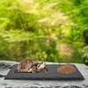 aleawol 3Pack Tortoise Slate Pad, Large Rectangular Reptile Basking Platform