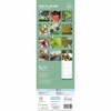 Carousel Worldwide, Royal Botanic Gardens 2026 Slim Wall Calendar