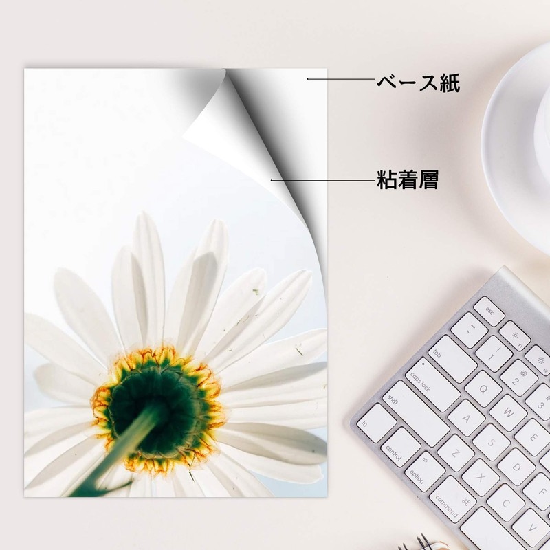 A-SUB Photo Stickers, Label Stickers, A4, Matte Paper, Plain Paper