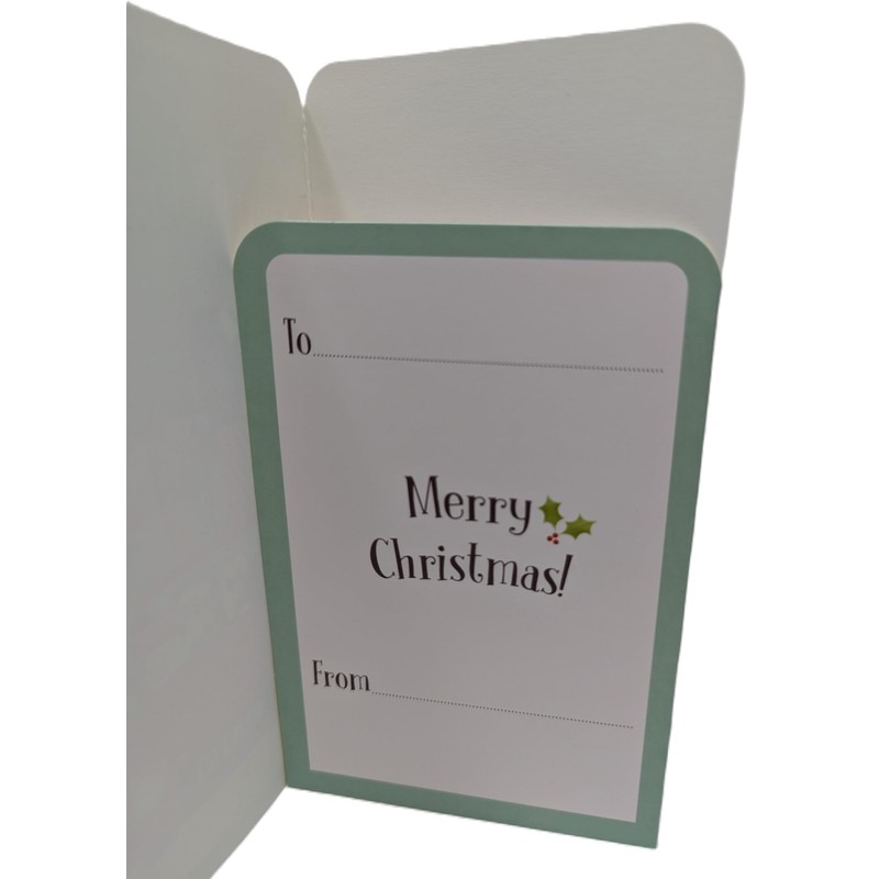 8 Assorted Money Voucher Wallets with White Envelopes