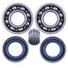 Crankshaft Crank Ball Needle Bearing Oil Seals Kit for HUSQVARNA