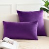 OTOSTAR Velvet Soft Solid Decorative Throw Pillow Covers 12 x