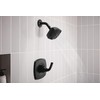 Peerless Parkwood Shower Faucet Set Black, Shower Trim Kit, Shower