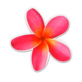 Plumeria Flower Pink - 5" Vinyl Sticker - for Car Laptop I-Pad - Waterproof Decal
