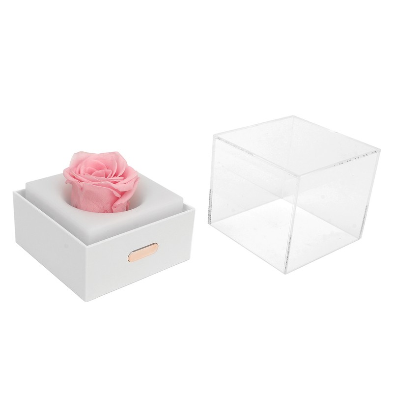 Rose Night Light Romantic Small USB Charging Soft Brightness Decoration