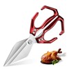 Dream Reach Sharp Poultry Scissors Bone Scissors - Multi-Purpose Kitchen