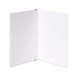 Papyrus Blank Card (Travel The World)